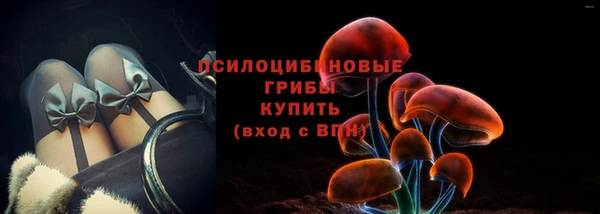 индика Арсеньев