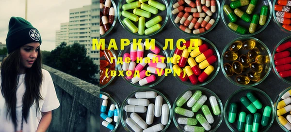 ешки Аркадак