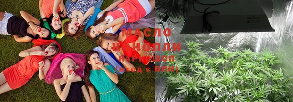 спиды Зеленокумск